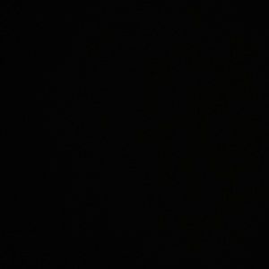 Meet your Posher, Syd